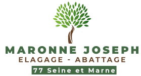 Maronne Joseph, Elagage 77